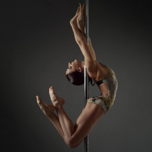 Marion Crampe Pole Theatre Iceland Workshops