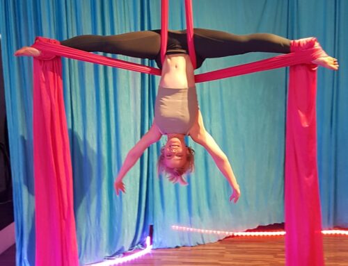 KAMILA  |  AERIAL SILKS